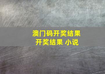 澳门码开奖结果 开奖结果 小说